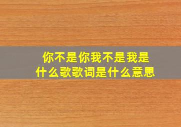 你不是你我不是我是什么歌歌词是什么意思