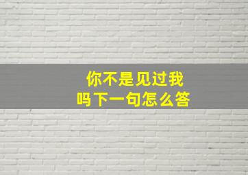 你不是见过我吗下一句怎么答