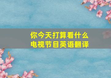 你今天打算看什么电视节目英语翻译