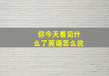 你今天看见什么了英语怎么说