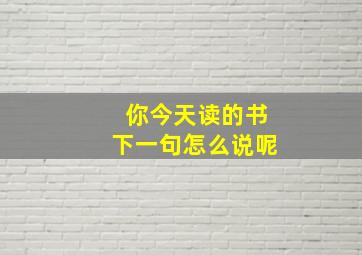 你今天读的书下一句怎么说呢