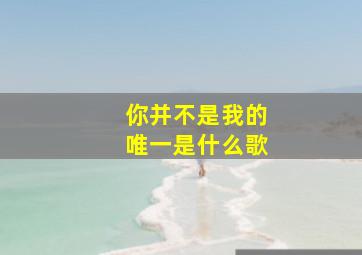 你并不是我的唯一是什么歌