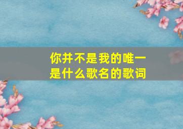 你并不是我的唯一是什么歌名的歌词