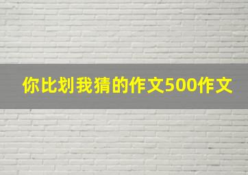 你比划我猜的作文500作文