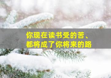 你现在读书受的苦、都将成了你将来的路