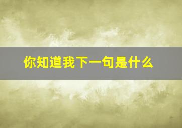 你知道我下一句是什么