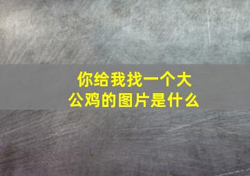 你给我找一个大公鸡的图片是什么