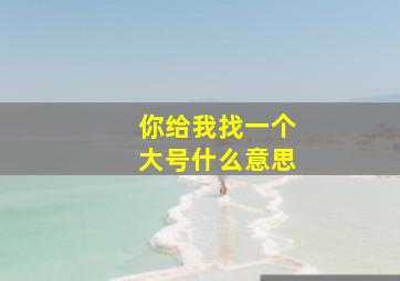 你给我找一个大号什么意思