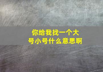 你给我找一个大号小号什么意思啊