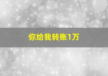 你给我转账1万