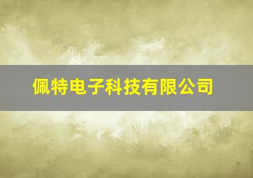 佩特电子科技有限公司