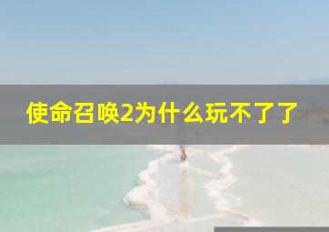 使命召唤2为什么玩不了了