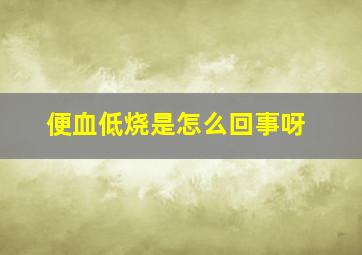 便血低烧是怎么回事呀