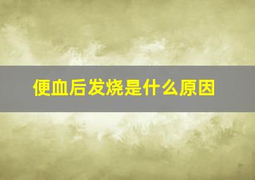 便血后发烧是什么原因