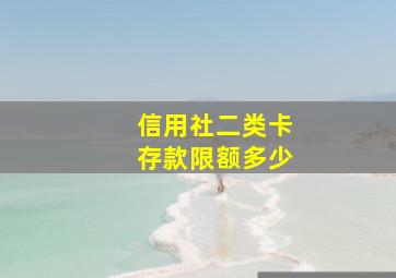 信用社二类卡存款限额多少