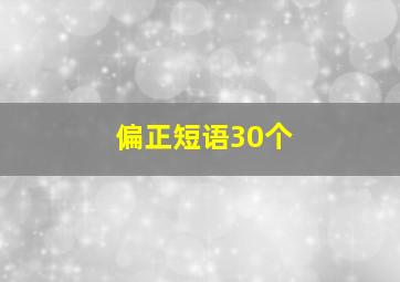 偏正短语30个