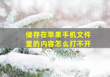 储存在苹果手机文件里的内容怎么打不开