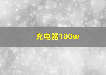 充电器100w