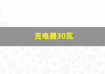 充电器30瓦