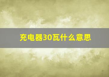 充电器30瓦什么意思