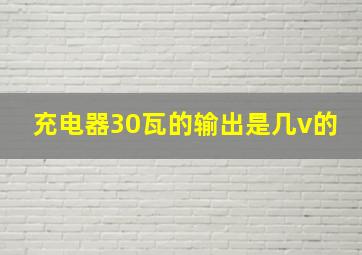 充电器30瓦的输出是几v的