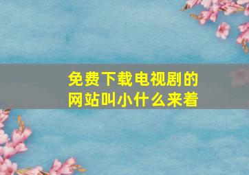 免费下载电视剧的网站叫小什么来着