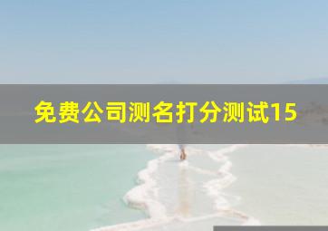 免费公司测名打分测试15