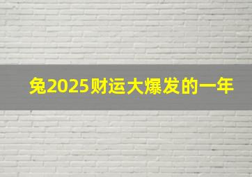 兔2025财运大爆发的一年