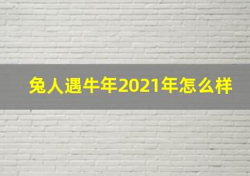 兔人遇牛年2021年怎么样