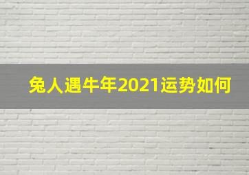 兔人遇牛年2021运势如何