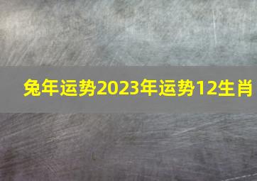 兔年运势2023年运势12生肖