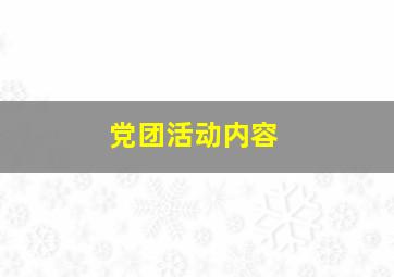 党团活动内容