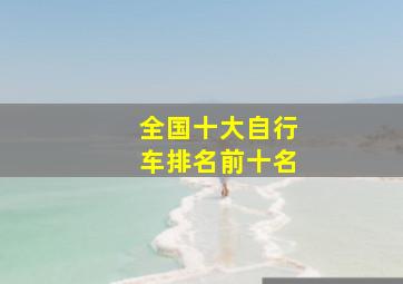 全国十大自行车排名前十名