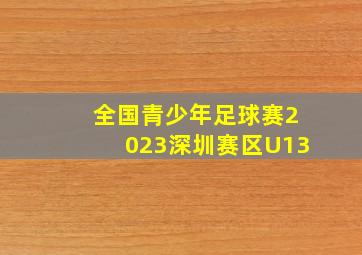 全国青少年足球赛2023深圳赛区U13