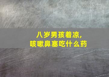 八岁男孩着凉,咳嗽鼻塞吃什么药