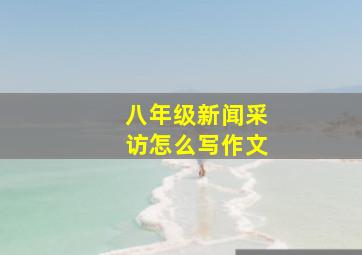 八年级新闻采访怎么写作文