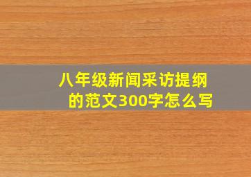 八年级新闻采访提纲的范文300字怎么写