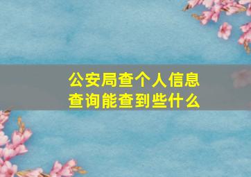 公安局查个人信息查询能查到些什么