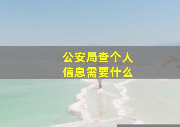 公安局查个人信息需要什么