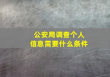 公安局调查个人信息需要什么条件