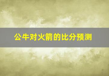 公牛对火箭的比分预测