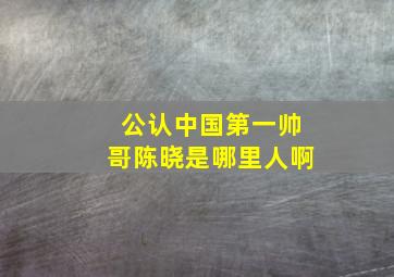 公认中国第一帅哥陈晓是哪里人啊