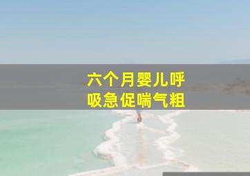 六个月婴儿呼吸急促喘气粗