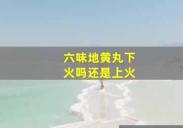 六味地黄丸下火吗还是上火