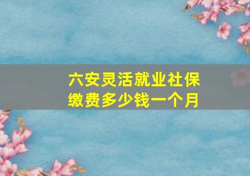 六安灵活就业社保缴费多少钱一个月