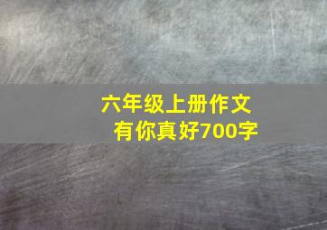 六年级上册作文有你真好700字