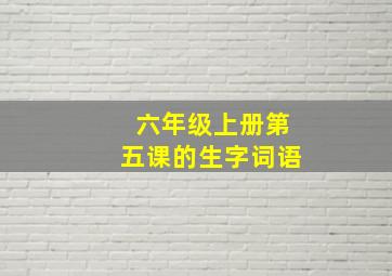 六年级上册第五课的生字词语