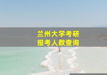 兰州大学考研报考人数查询