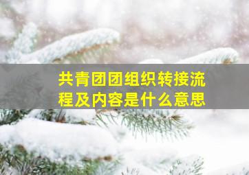 共青团团组织转接流程及内容是什么意思