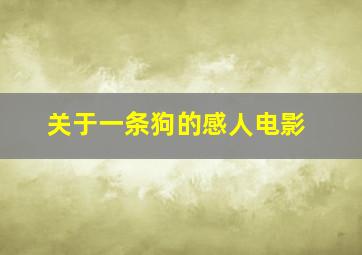 关于一条狗的感人电影